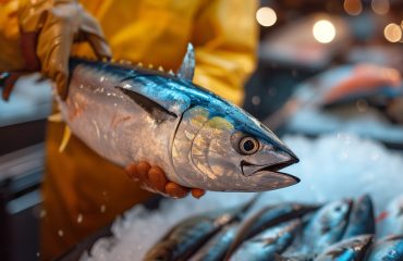 Traiteur poisson